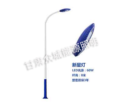 秦安爆款市电路灯