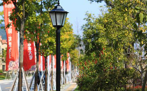 装秦安庭院灯避坑指南：庭院路灯防雷接地要点